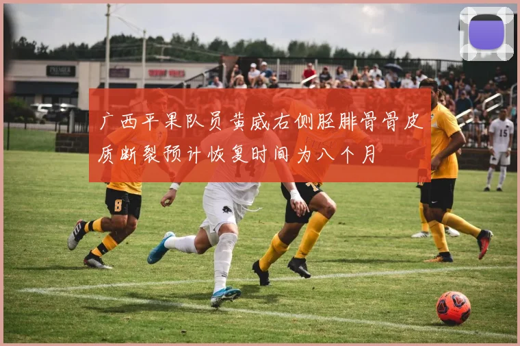 广西平果队员黄威右侧胫腓骨骨皮质断裂预计恢复时间为八个月