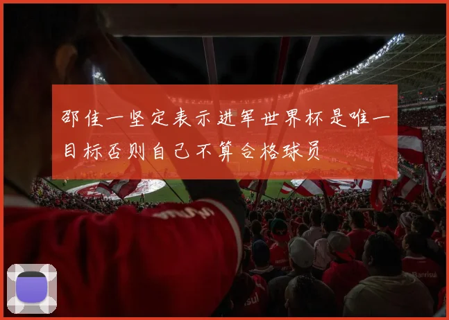 邵佳一坚定表示进军世界杯是唯一目标否则自己不算合格球员