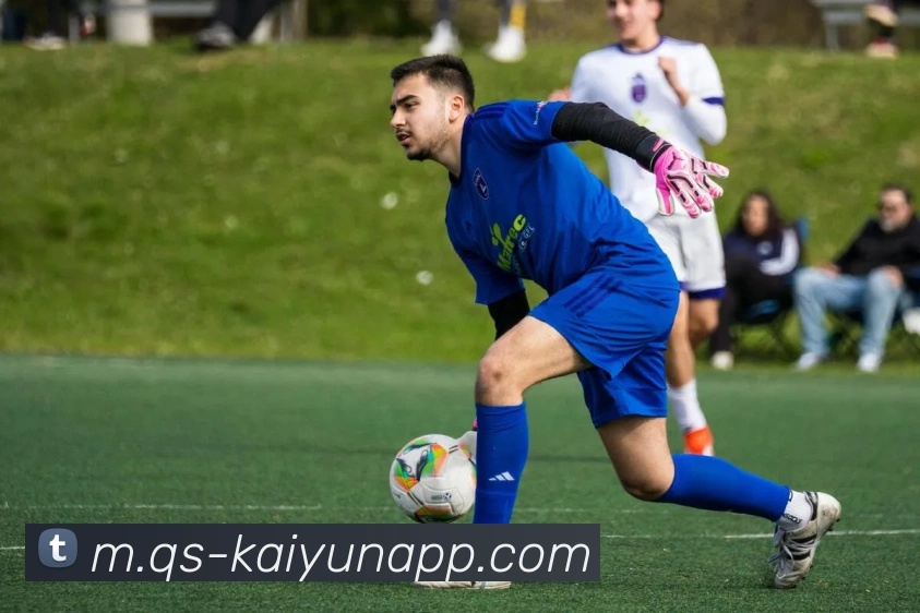 开云体育平台生态图