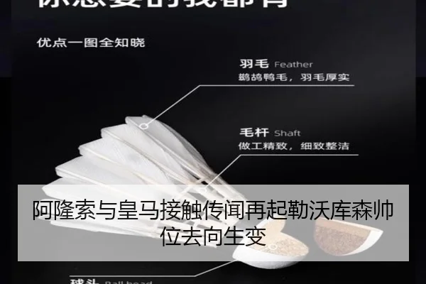 阿隆索与皇马接触传闻再起勒沃库森帅位去向生变 - kaiyun